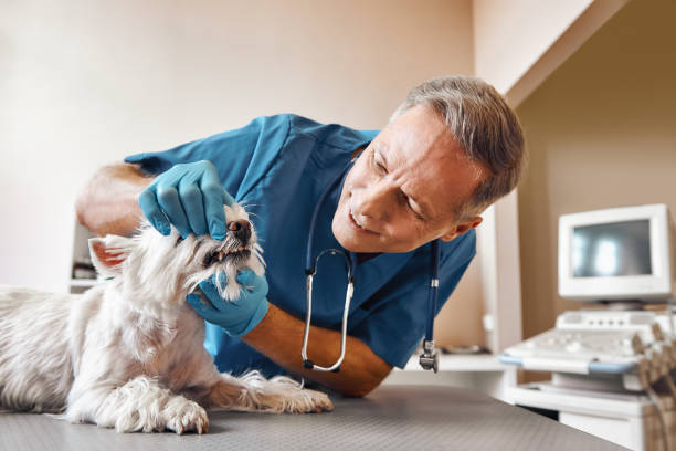 Best Cracked Tooth Emergency Dentist  in Plymouth, OH